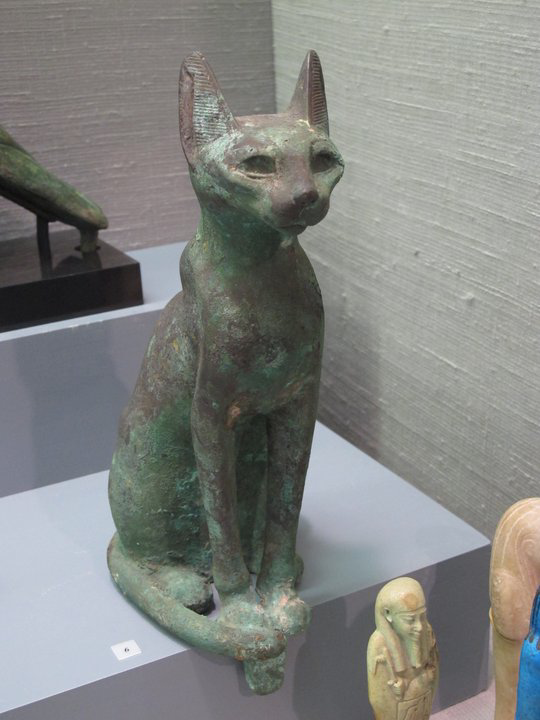 metal cat